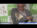 三毛猫・ドロップ、「あまちゃん」出演のネコがヒロインで“銀幕デビュー”！　映画「先生と迷い猫」完成披露試写会2　 issey ogata　 teacher and stray cat