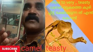 How to teasty camel .ഒട്ടകത്തെ കുഴിച്ചിട്ട് ഭക്ഷിക്കുന്നത് എന്തുകൊണ്ട് .#bineshbinesh ks# camel #