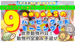 【毎朝うたあそびバラエティー！】2024/10/1歌遊び：①ジャングルたんけんたい(全身遊び)②ぜんぜんわかんないや(動物の手遊び)：ハッピーグッドモーニング！