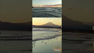 鵠沼海岸🌊眩い夕日🌇淡茜富士山🗻主役は元気なハマシギさん🐦日の入り🌇2024年11月8日✨