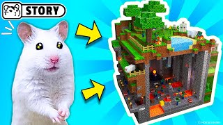The world's largest hamster maze - obstacle course! #2 🐹 Homura Ham