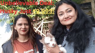 100% Satisfied and Happy Dog Lover from CAC Serampore Pet Market l Dog Market Kolkata