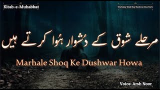 مرحلے شوق کے دُشوار ہُوا کرتے ہیں | Marhaley Shok Key Dushwar Hua Karte | Mohsin Naqvi | Arsh Noor