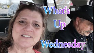 What's up Wednesday #chitchat hosted by Lucia @tijocreates #whatsupwednesday