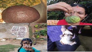 Moringa leaves sambar recipe | village| Padmavathy channel |