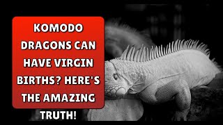 Komodo Dragons' Virgin Births