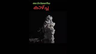 അത്ഭുതകരമായ കാഴ്ച