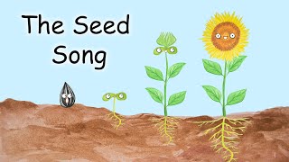 The Seed Song - What Do Seeds Need?