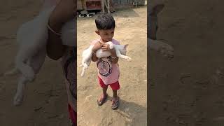 আদিত্য বিড়ালের বাচ্চা ধরছে #funny #funnyclips #cutebaby