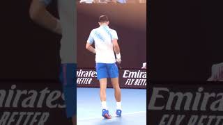 🎾 Novak Djokovic Australian Open 2023 finals 🏆 #djokovic #tennis #australianopen2023