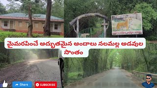 ATMAKUR TO DORNALA | GHAT ROAD | NALLAMALLA FOREST | BEST LOCATION| DRIVE | NAG TOPICS