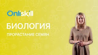 Биология 6 класс: Прорастание семян