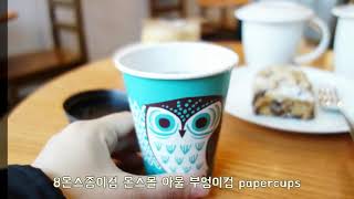 8온스종이컵 온스몰 아울 부엉이컵 papercups