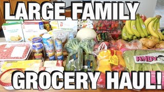 LARGE FAMILY GROCERY HAUL! | FAMILY OF 7 TWO WEEKS OF FOOD