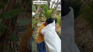 চল আমরা পালাই যাই #funny #subscribe #shorts