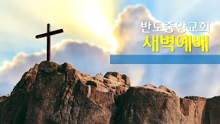 반도중앙교회 새벽 예배  [11월 25일]