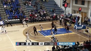 Highlights: Diamond Stone (17 points)  vs. the Skyforce, 12/30/2016