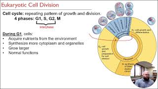 BIOL 1310    Test 2 Review