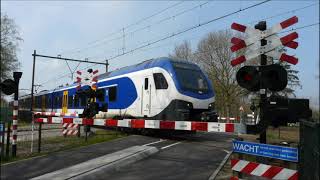 Spoorwegovergang Rosmalen // Dutch railroad crossing