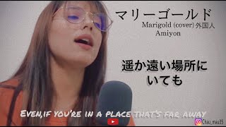 AIMYON（あいみょん）- Marigold （マリーゴールドcover by 外国人）(lyrics Japanese | English)