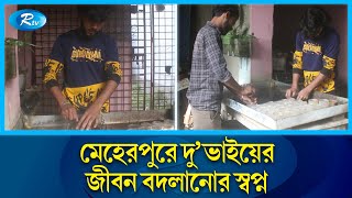 চায়ের দোকান চালিয়ে কলেজে পড়ছে জমজ দু’ভাই | Tea Seller | Meherpur | Rtv News