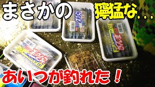 アナゴ釣りをしながらカニ網を仕掛けてたら獰猛なアイツが釣れた！