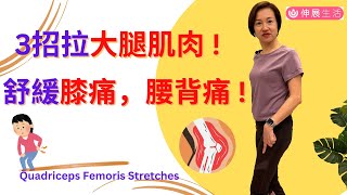 簡單3招伸展運動拉 大腿前側肌肉, 可舒緩膝關節痛| 腰背痛! 3 Quadriceps Femoris stretches 中文字幕Eng Sub#伸展生活