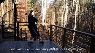 Swimming Body Dragon Walking Baguazhang 游身龍行八卦掌