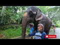 erattupetta kaveri ഈരാറ്റുപേട്ട കാവേരി kerala female elephant