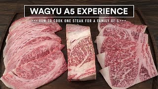 How to cook the WORLD'S BEST BEEF - Japanese WAGYU A5 Steak Experience!