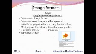 File formats for multimedia