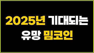 2025년.. 1억명 역대급 밈코인 출시..