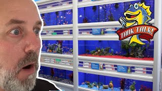 Finding The Right Fish Store And Some DRAMA! Tank Talk Episode 12