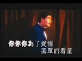 劉雅麗《你為了愛情》1995