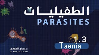 التحليلات \\ المادة الوزارية ( الطفيليات ) \\ المحاضرة الاولى 2024 \\ Taenia \\ الجزء الاول