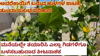 ಈ ಒಂದು ಕೀಟನಾಶಕ ಸಾಕು ಗಿಡಗಳ ಸಮಸ್ಯೆಗೆ Organic pesticides #hibiscus all plants fertilizer and pesticide