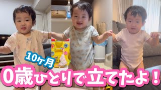 【10ヶ月】ひとりで立てるの✨/立つ練習が楽しい赤ちゃん👶🏻