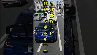 これは珍しい！フェラーリを運転してたら野良ランボルギーニに遭遇…