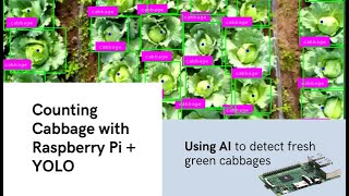 How to Run YOLO Object Detection Models on the Raspberry Pi