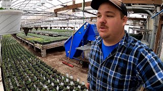 MAXING OUT OUR LARGEST GREENHOUSE