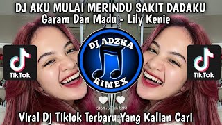 DJ AKU MULAI MERINDU SAKIT DADAKU || GARAM DAN MADU VIRAL TERBARU VERSI 2025