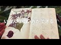 moleskineを初めて買う人は見てください！【良い所・悪い所】