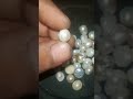 tuticorin tamilnadu natural pearl