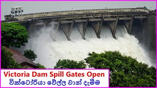 Victoria Dam Spill Gates Open | වික්ටෝරියා වේල්ල වාන් දැමීම, Adikarigama (2014)