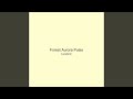 Forest Aurora Pulse