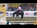 derby 2024 manuel cortesi u0026 july joe snap score 231