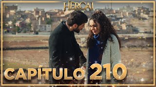 Hercai - Capítulo 210