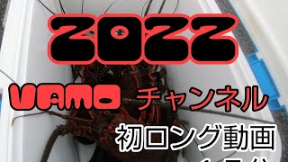 伊勢海老穴釣り【いつもの浅い穴場狙いではなく深い堤防狙い】