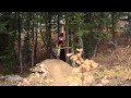 Connor Field Mountain Bike Edit - My Back Yard Connor Field Mountain Bike Edit - My Back Yard