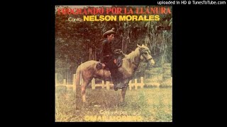 Nelson morales  07. Falso amor